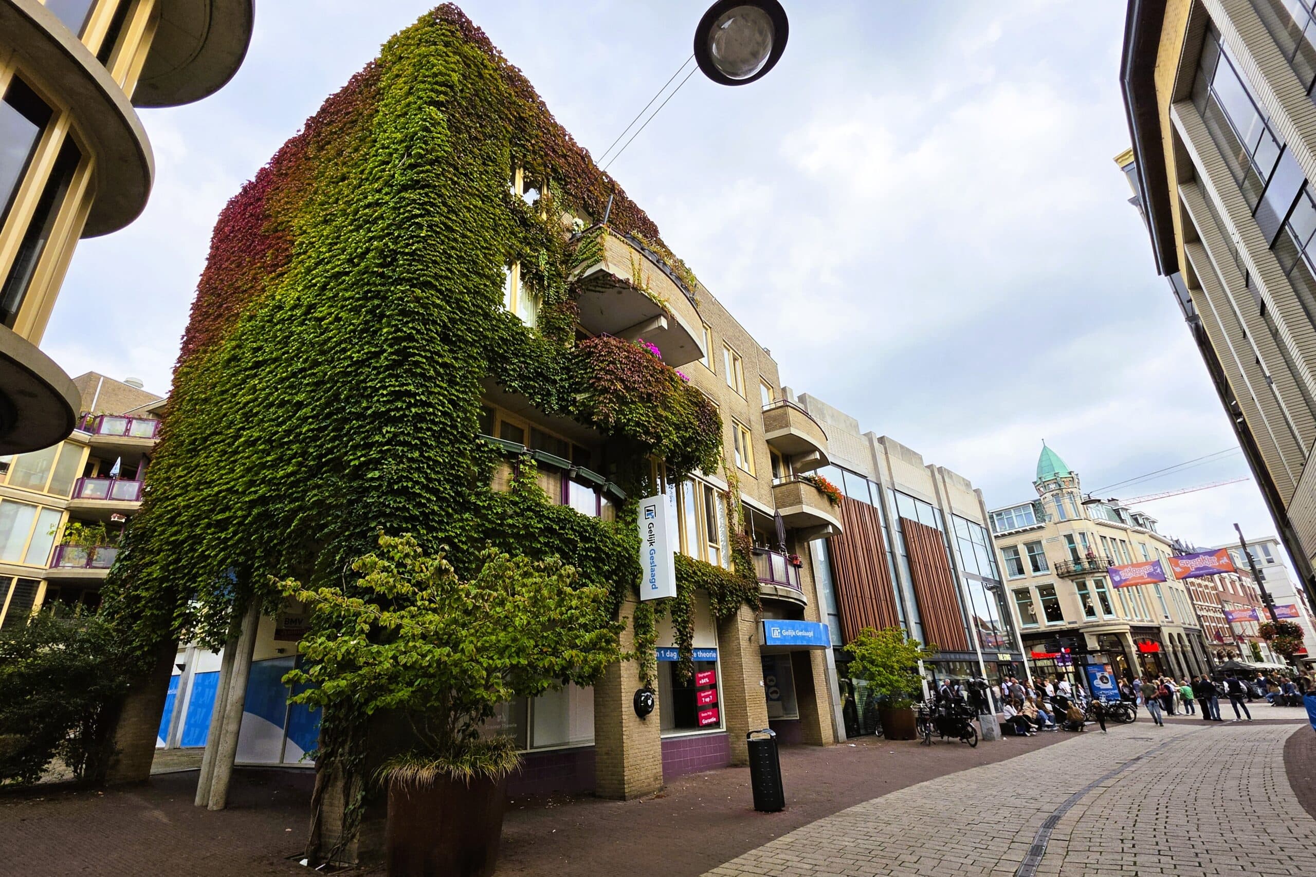 Woningcorporatie stopt onderhoud begroeide gevel in Arnhem